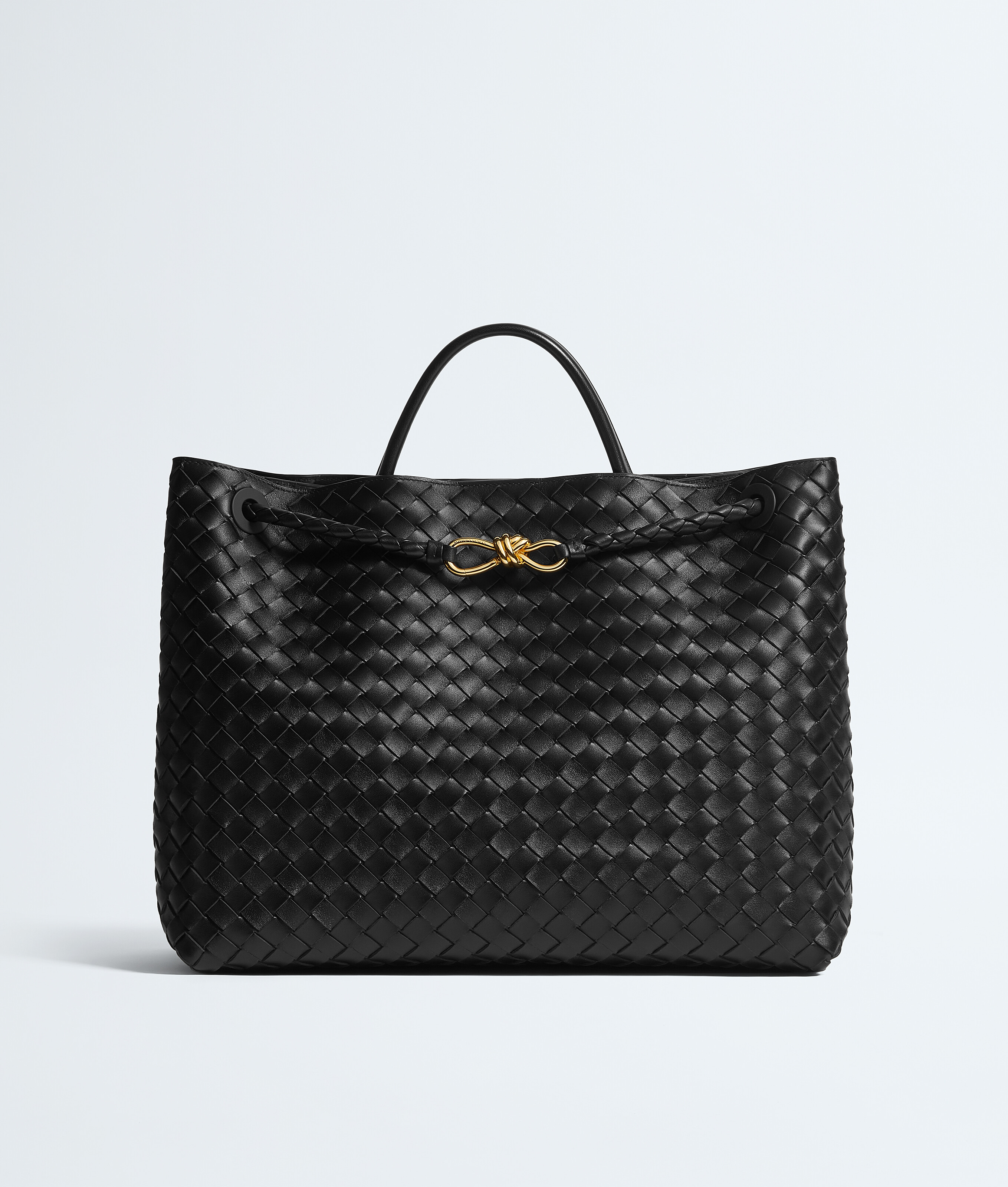 Bottega Veneta Andiamo Large Tote Bag