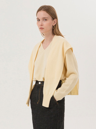 Wholegarment Shawl