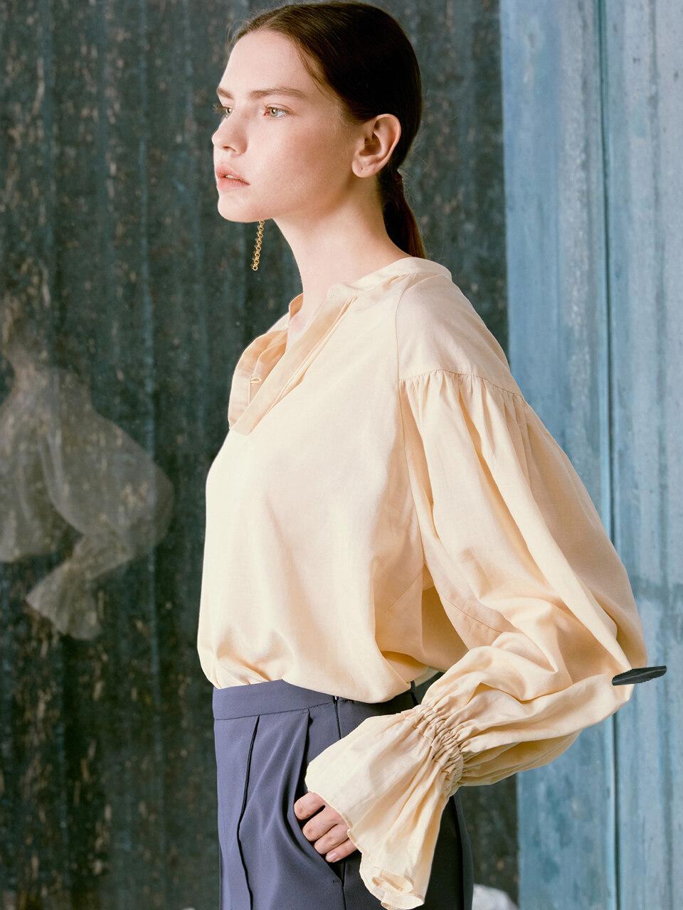 Dressy Balloon Sleeve Blouse