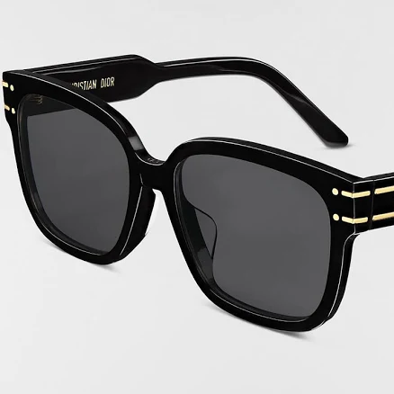 Dior Women's DiorSignature S7F Sunglasses