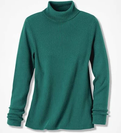 Ribbed Turtleneck Sweater