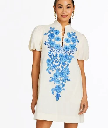 Mestiza New York Elliana Barong Mini Dress