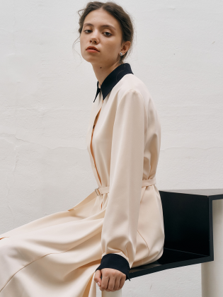 CO Classy Shirts Dress
