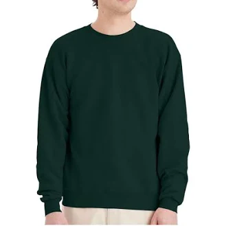 Hanes P160 EcoSmart Crewneck Sweatshirt, Deep Forest / S