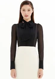 Silk Chiffon V Neckline Tie Blouse