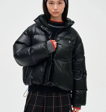 clove Glossy Goose Down Jacket