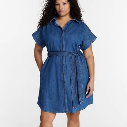 Terra & Sky Women's Plus Mini Denim Shirt Dress
