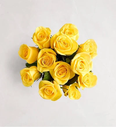 Send Flowers Yellow Roses Stems Vase