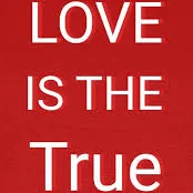 LOVE IS THE TRUE | Women's Premium Organic T-shirt