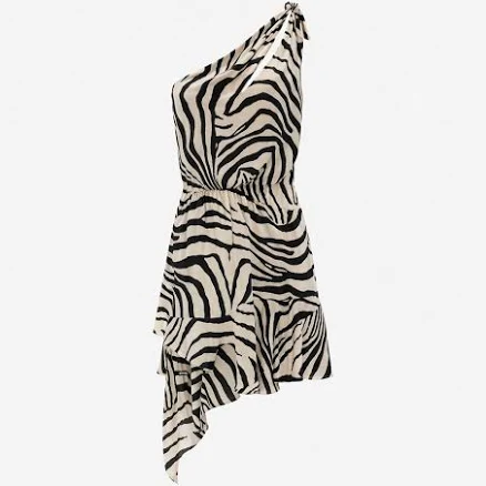 iro Paris Women's Asymmetrical Print Dress