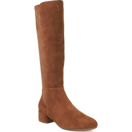 Dune London Tayla Suede Knee High Boots