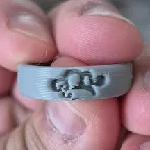 3D Printed Sustainable PLA Ring
