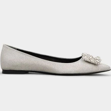Roger Vivier Efflorescence Ballerinas