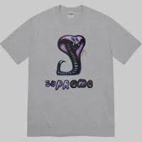 Supreme Snake Tee