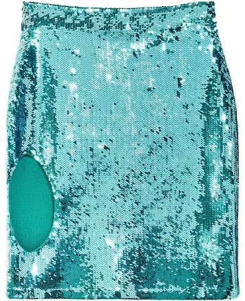 The Webster Loewe Sequin Cut Out Skirt