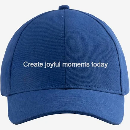 VistaPrint Embroidered Cap