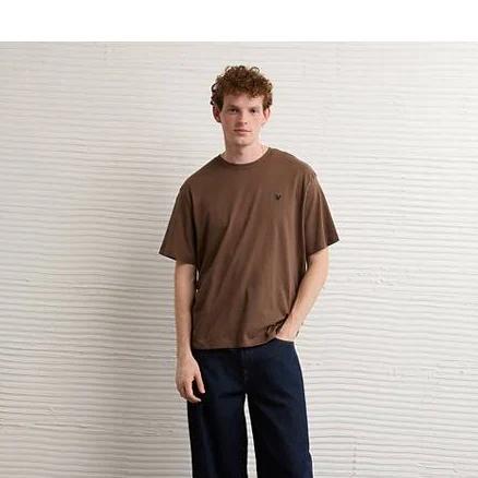 AE Standard Fit Lightweight Logo T-Shirt Men's