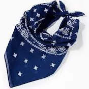 Hidden NY Blue Logo Paisley Bandana