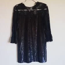 Zara Shimmery velvet dress