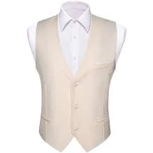 Champagne White Solid Silk Men's V-Neck Business Vest