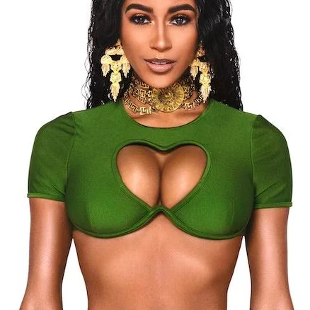 ASTRI Top