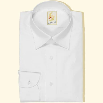 Point Collar Shirt