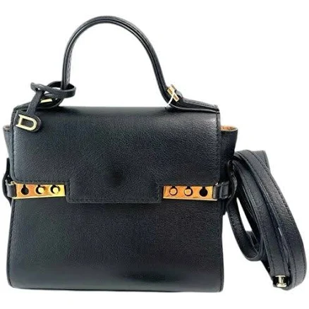 Delvaux Tempête PM Leather Crossbody Bag