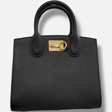 Salvatore Ferragamo Women's Studio Box Calfskin Handbag