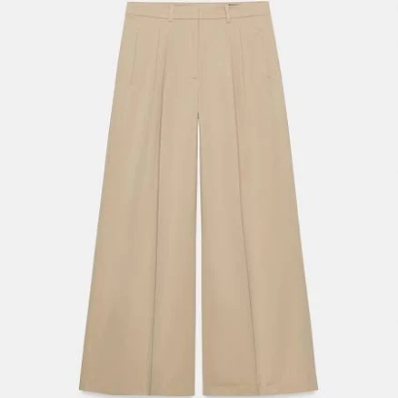 Woman Zara Zw Collection Pleated Wide Leg Pants