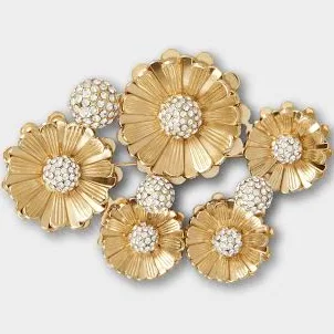 Roger Vivier Brooch