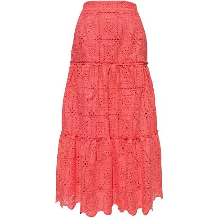 Embroidered Midi Skirt