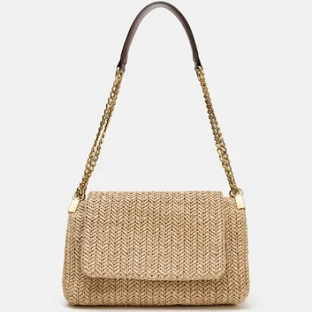 Zara Metallic Chain Crossbody Bag