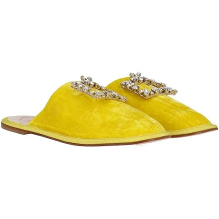 Roger Vivier Women's Velvet Mule