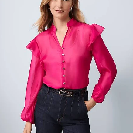 Ann Taylor Women's Ruffle Trim Blouse