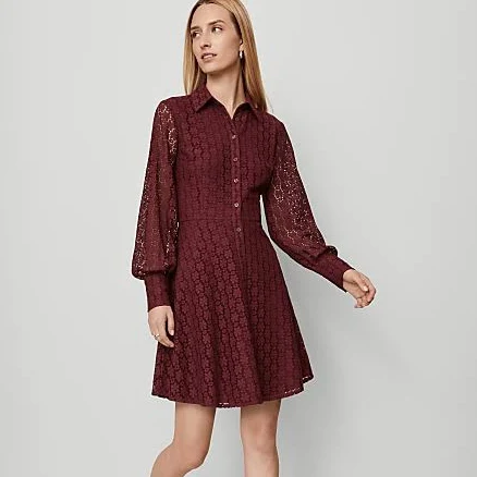 Ann Taylor Women's Lace Flare Shirtdress