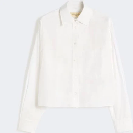 Max Mara Cotton Poplin Shirt