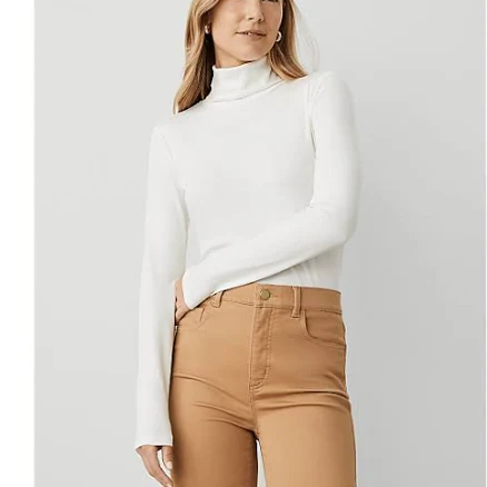 Women's Ann Taylor Weekend Turtleneck Top