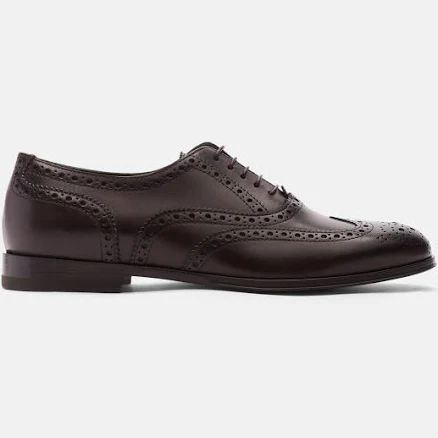 Scarosso Women's Judy Calf Leather Oxfords