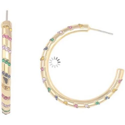 Rainbow Hoop Earrings