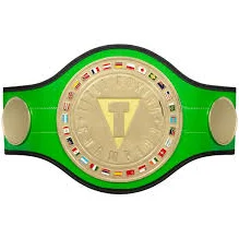 Title Boxing World Boxing Champion Title Belt
