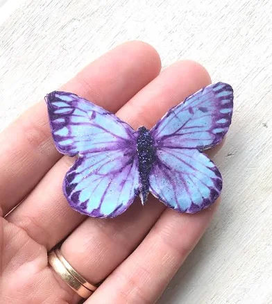 Butterfly Snap Clip Hair Clip