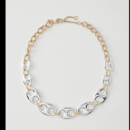 Ann Taylor Women's Oversized Chain Link Necklace
