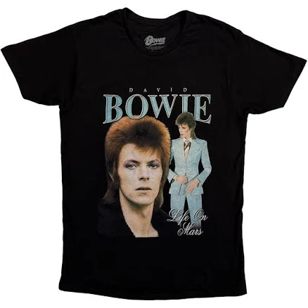 David Bowie Life on Mars Homage