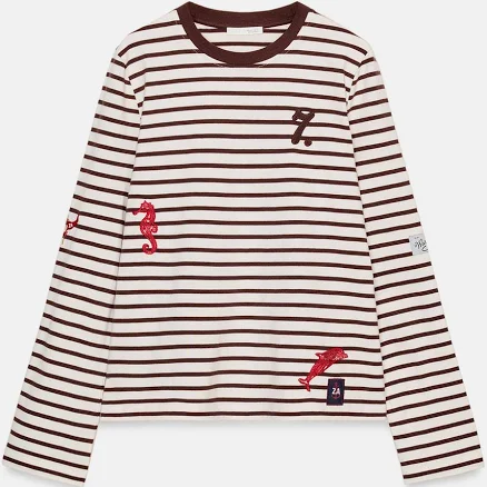 Zara Embroidered Striped T-Shirt
