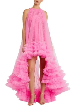 Mac Duggal Women's Tulle High Neck Sleeveless Ruffled Hem Hi-Lo Gown