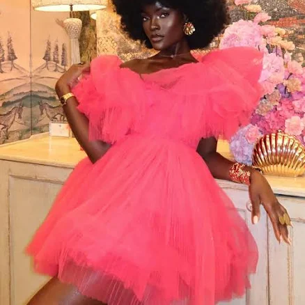 Fashion Nova Delaney Deep V-Neck Short Sleeve Tulle Mini Dress