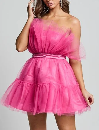 Showpo Amalya Tiered Tulle Fit and Flare Mini Dress