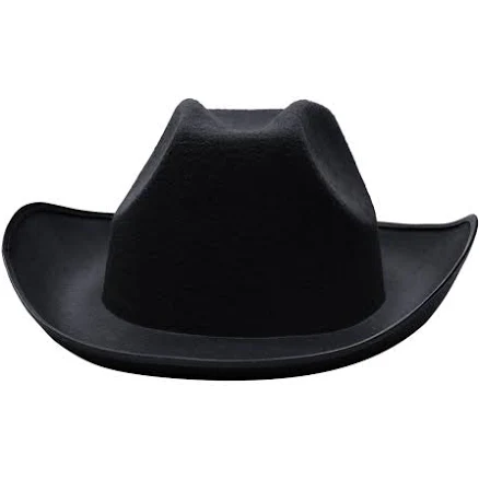 Michaels Adult Felt Costume Cowboy Hat
