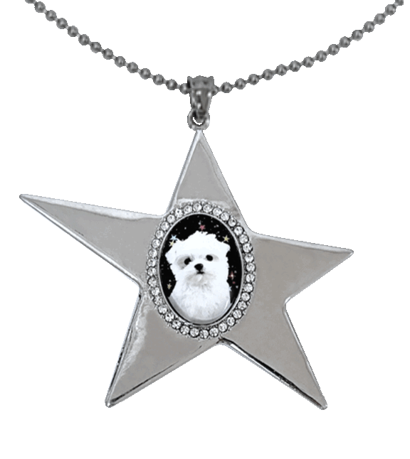 You Are My 'star' Necklace