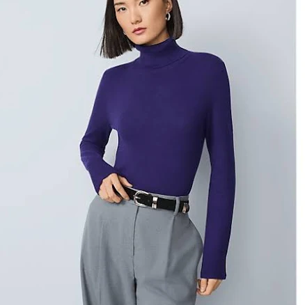 Ann Taylor Women's Essential Turtleneck Sweater